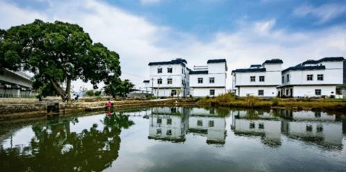 夯实 三农 基础,助力乡村振兴