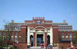 华山北院志愿者招募令