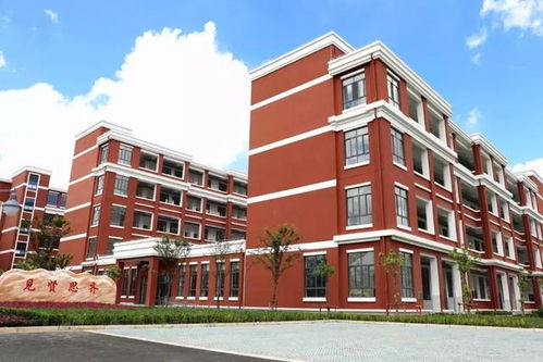 上海新增14所公办中学,2021中考改革新动作