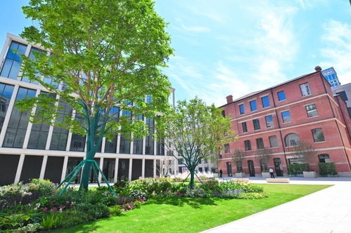 上海老市府大楼,9年更新经历了什么