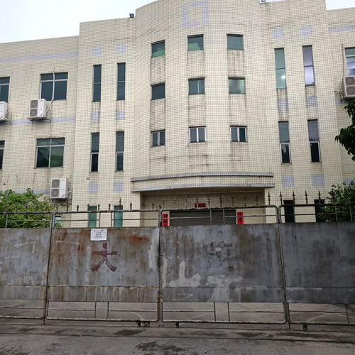 东莞不再是当年的东莞了,它变了,变得如此陌生