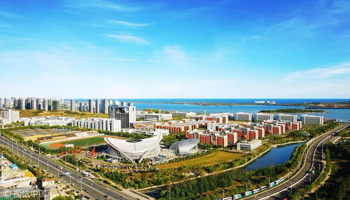 清华 复旦 央美 要来 还有拆迁 通地铁 青岛这里未来高不可攀