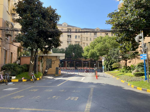 上海奉贤 南城佳苑 最新动态 上海奉贤 南城佳苑 房源更新