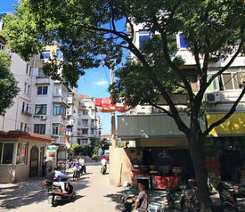 殷行一村租房,4000元 月,居家装修,精致两房,全明户型 上海殷行一村租房 推推99上海房产网