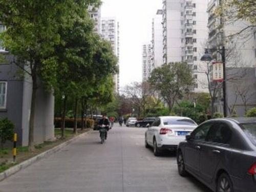 城市名园租房,4500元 月,城市名园超值家具家电齐全豪华装修,舒适环境等你享受 上海城市名园租房 推推99上海房产网