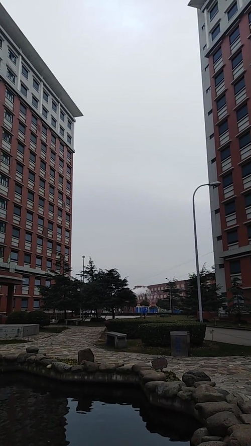 上海松江加工区电子厂,上海达丰电脑,真正能包吃...