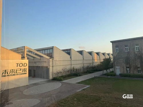 青岛 1248个城市更新项目开建,重点片区 二次生长