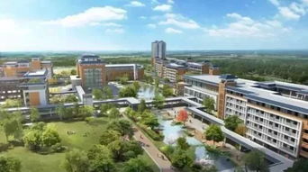 铁一落户房价涨3000元 平 今年新增的14所名校 片区后劲如何