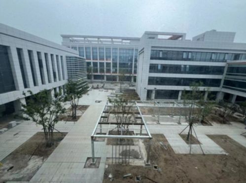 国家管网龙口南山LNG厂前区工程与上海杨浦区中原新江湾敬老院项目进展概述